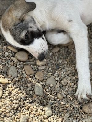 Whatsapp image 2025 09 11 at 11.25.40 (2)