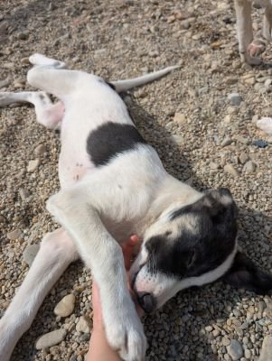 Whatsapp image 2025 09 11 at 11.27.24 (2)