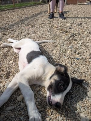 Whatsapp image 2025 09 11 at 11.27.24