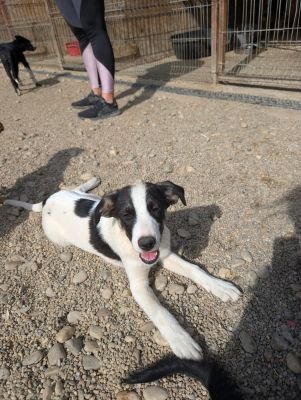 Whatsapp image 2025 09 11 at 11.27.25