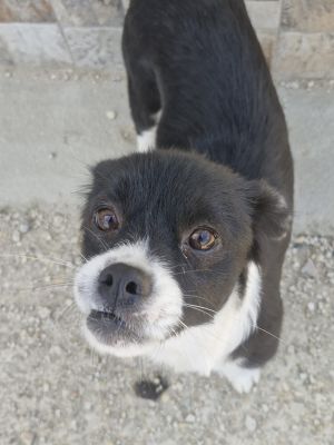 Whatsapp image 2025 09 13 at 16.35.46