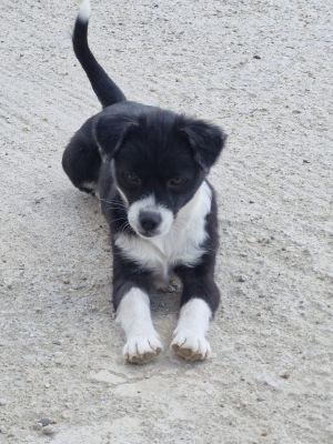 Whatsapp image 2025 09 13 at 16.35.47