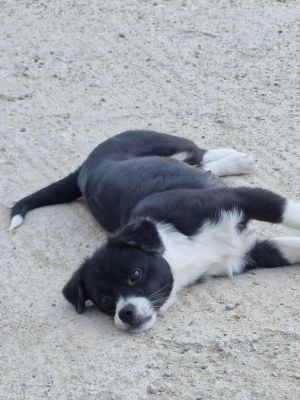 Whatsapp image 2025 09 13 at 16.35.48