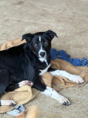 Whatsapp image 2025 10 13 at 21.02.58 (2)