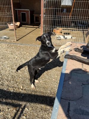 Whatsapp image 2025 10 13 at 21.02.58 (4)