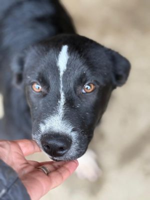 Whatsapp image 2025 10 13 at 21.02.59 (1)