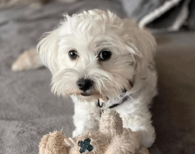 2025 09 22 10 21 00 desktop – datei explorer