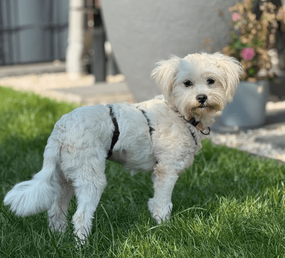 2025 09 22 10 21 04 desktop – datei explorer