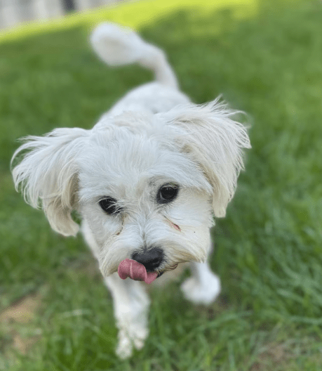 2025 09 22 10 21 09 desktop – datei explorer