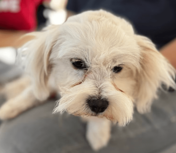 2025 09 22 10 21 14 desktop – datei explorer