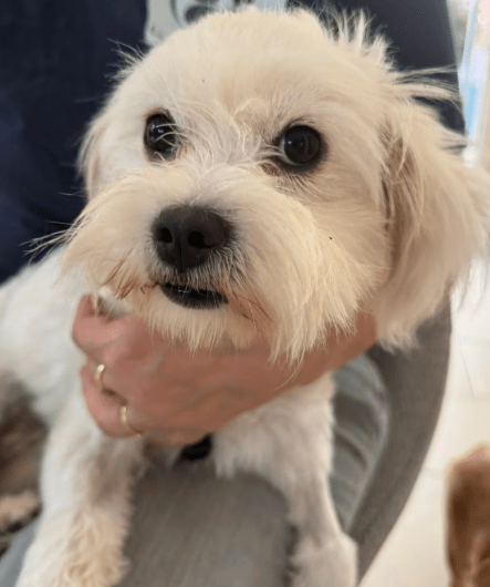 2025 09 22 10 21 19 desktop – datei explorer