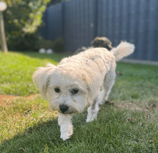 2025 09 22 10 21 24 desktop – datei explorer