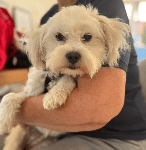 2025 09 22 10 21 28 desktop – datei explorer