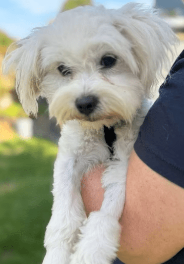 2025 09 22 10 21 40 desktop – datei explorer