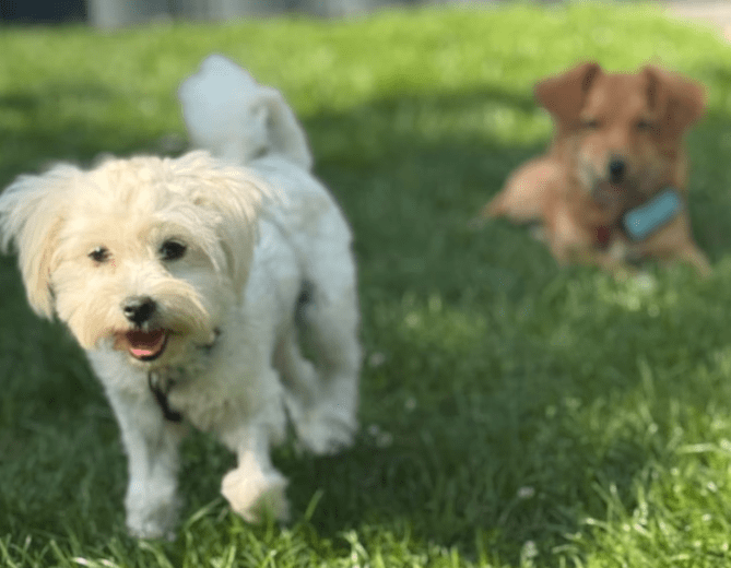 2025 09 22 10 21 52 desktop – datei explorer