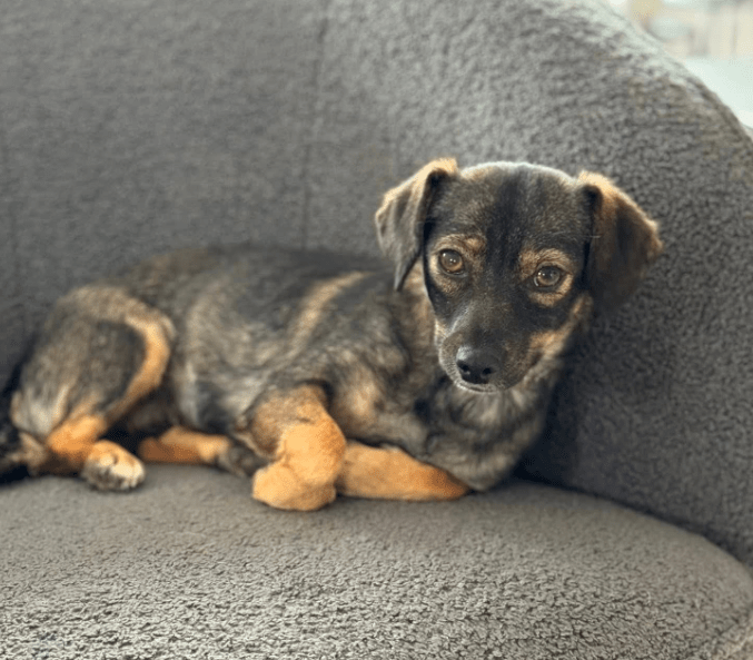 2025 09 26 09 31 52 kalender sina.rieke kroeger@oetker.com outlook