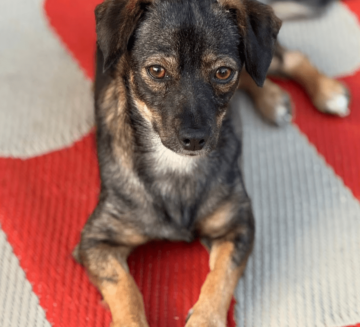 2025 09 26 09 32 19 kalender sina.rieke kroeger@oetker.com outlook