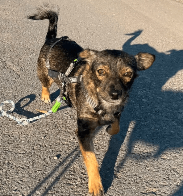 2025 09 26 09 50 17 kalender sina.rieke kroeger@oetker.com outlook