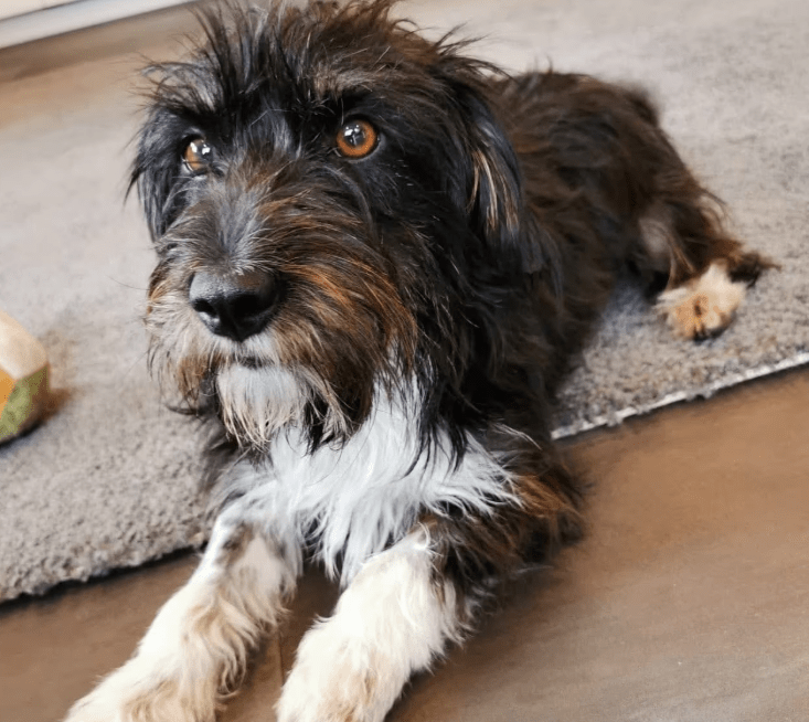 2025 09 26 09 57 42 projectlist 2025 09 26 09 09.xlsx excel