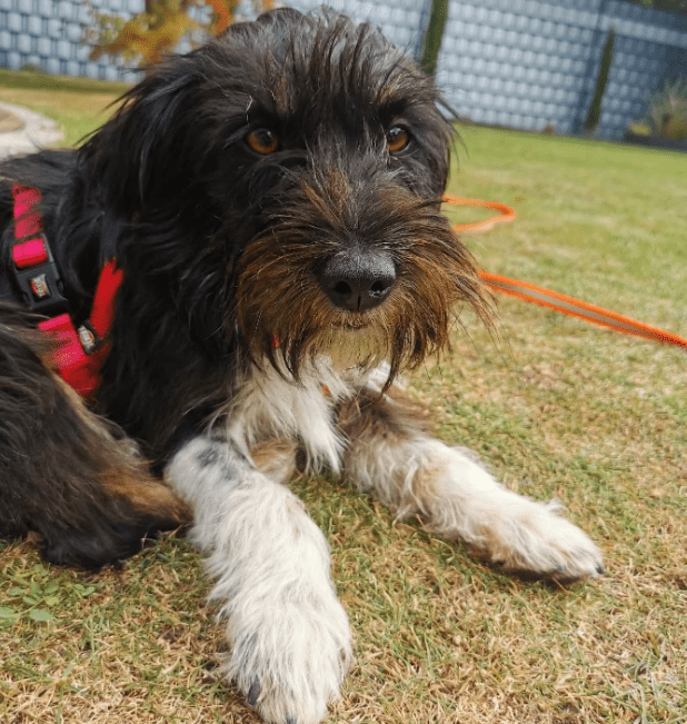 2025 09 26 09 57 46 projectlist 2025 09 26 09 09.xlsx excel