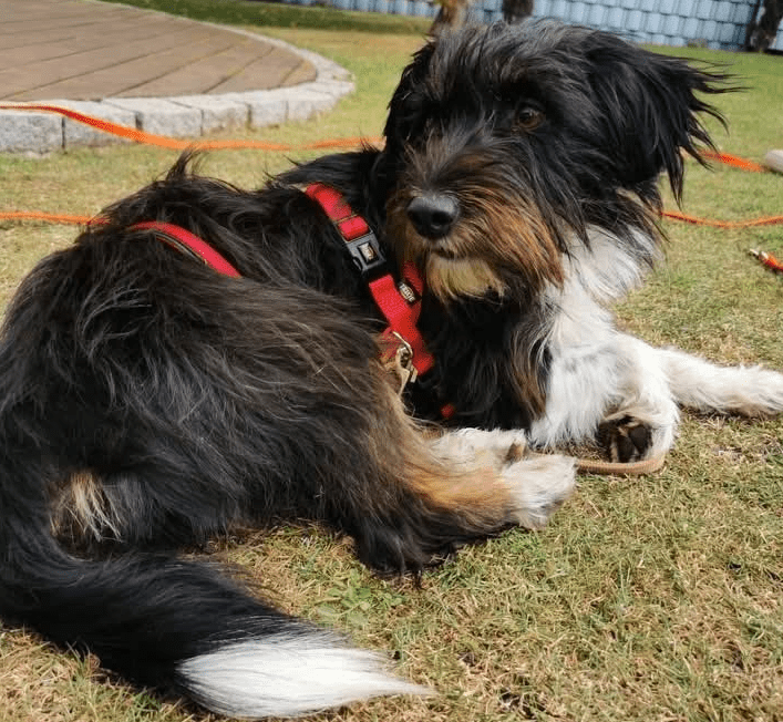 2025 09 26 09 57 51 projectlist 2025 09 26 09 09.xlsx excel