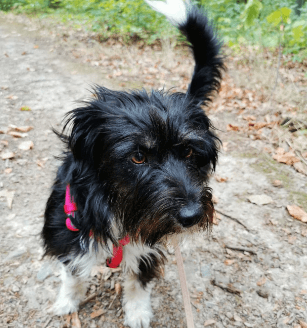 2025 09 26 09 57 57 projectlist 2025 09 26 09 09.xlsx excel