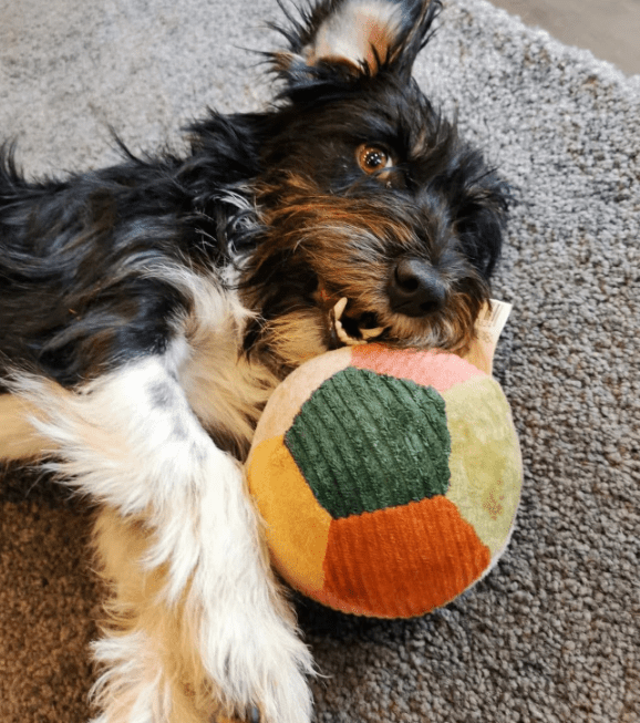 2025 09 26 09 58 01 projectlist 2025 09 26 09 09.xlsx excel