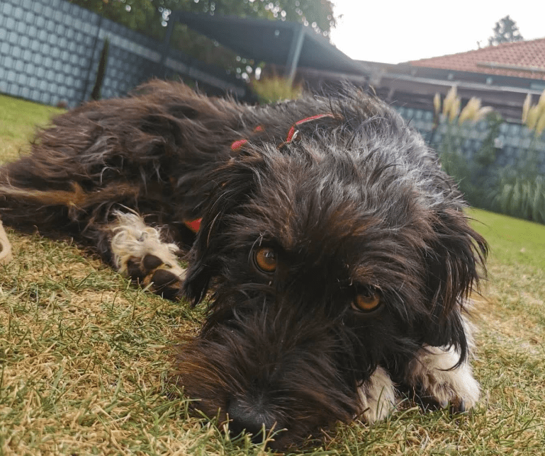 2025 09 26 09 58 06 projectlist 2025 09 26 09 09.xlsx excel