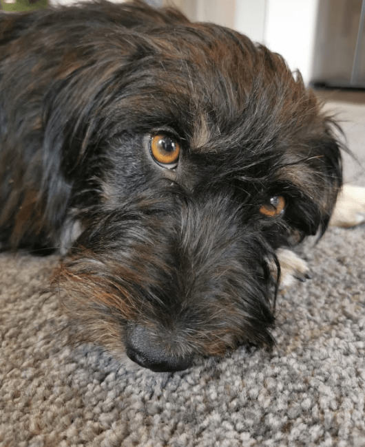 2025 09 26 09 58 10 projectlist 2025 09 26 09 09.xlsx excel