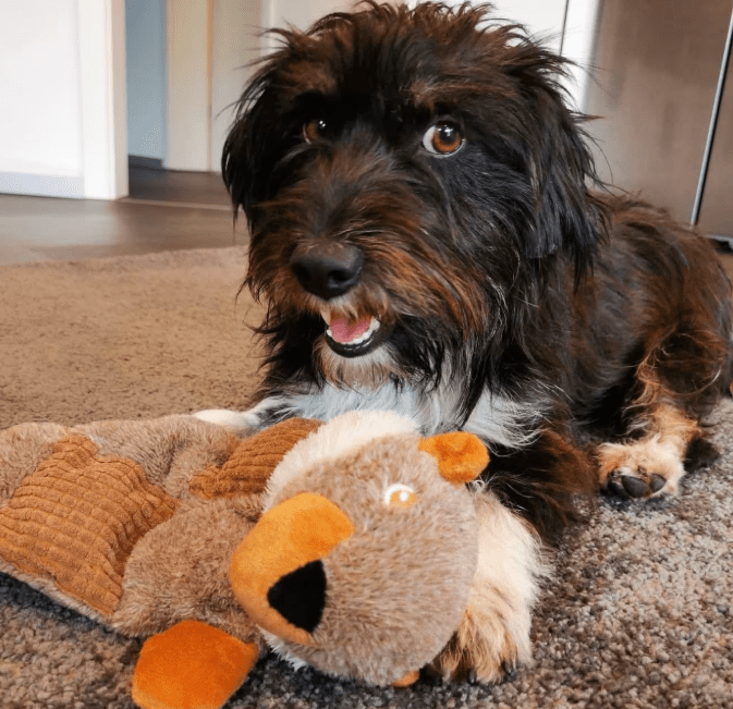 2025 09 26 09 58 16 projectlist 2025 09 26 09 09.xlsx excel