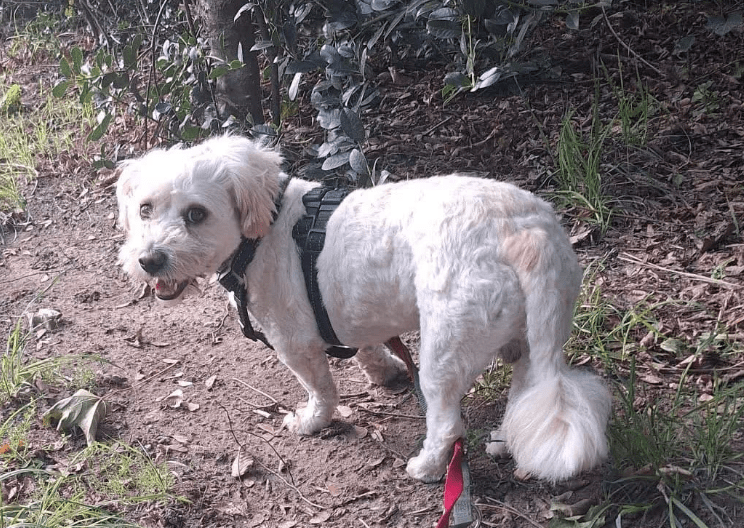 2025 09 26 10 16 37 posteingang sina.rieke kroeger@oetker.com outlook