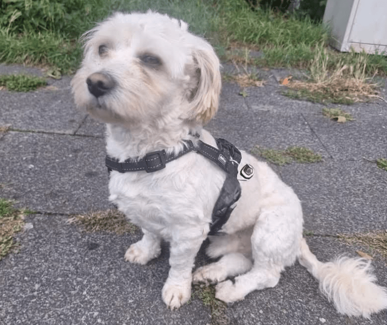 2025 09 26 10 16 40 posteingang sina.rieke kroeger@oetker.com outlook