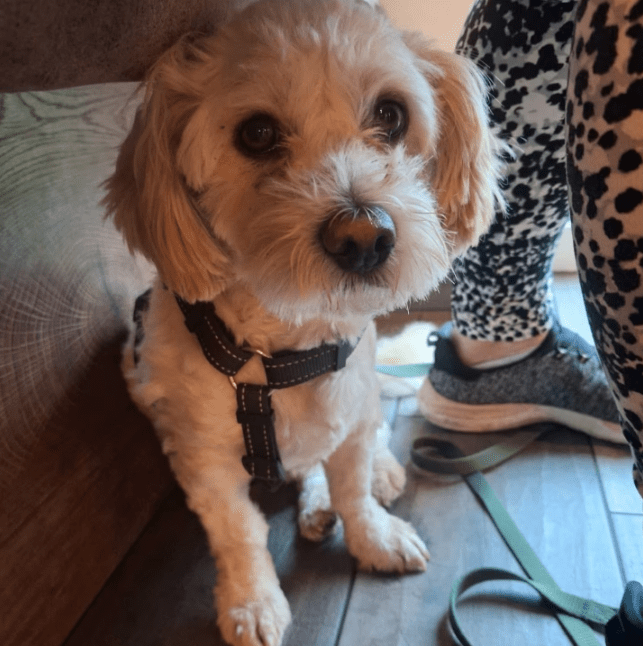 2025 09 26 10 16 44 posteingang sina.rieke kroeger@oetker.com outlook