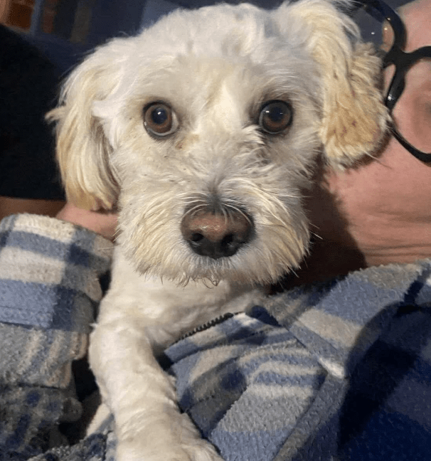 2025 09 26 10 16 49 posteingang sina.rieke kroeger@oetker.com outlook