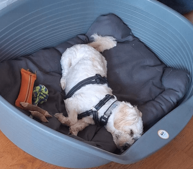 2025 09 26 10 16 55 posteingang sina.rieke kroeger@oetker.com outlook