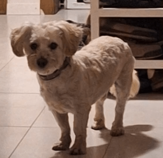 2025 09 26 10 16 59 posteingang sina.rieke kroeger@oetker.com outlook