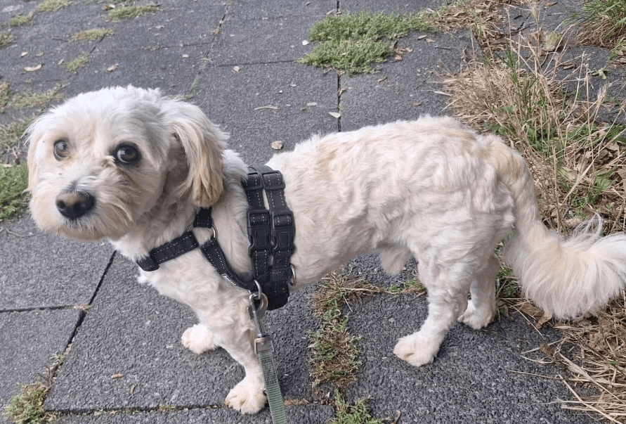 2025 09 26 10 17 02 posteingang sina.rieke kroeger@oetker.com outlook