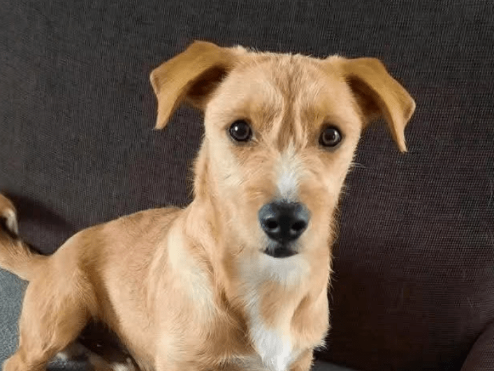 2025 10 09 14 39 03 chat ploch, michael microsoft teams