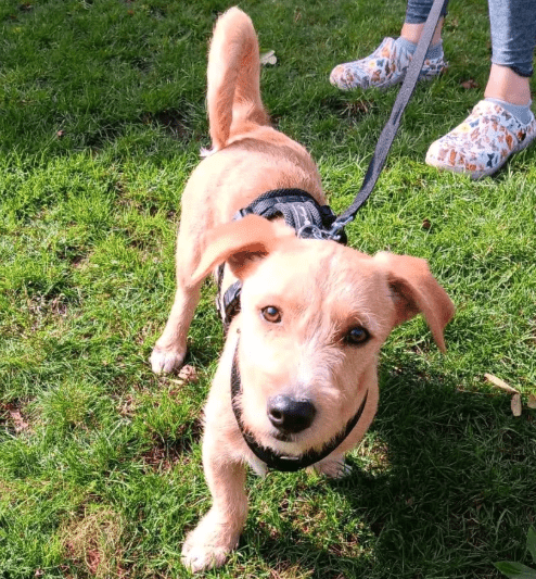 2025 10 09 14 39 09 chat ploch, michael microsoft teams