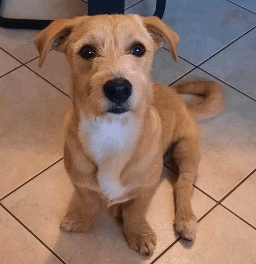 2025 10 09 14 39 17 chat ploch, michael microsoft teams