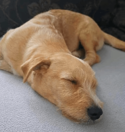 2025 10 09 14 39 23 chat ploch, michael microsoft teams