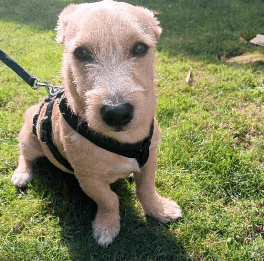 2025 10 09 14 39 30 chat ploch, michael microsoft teams