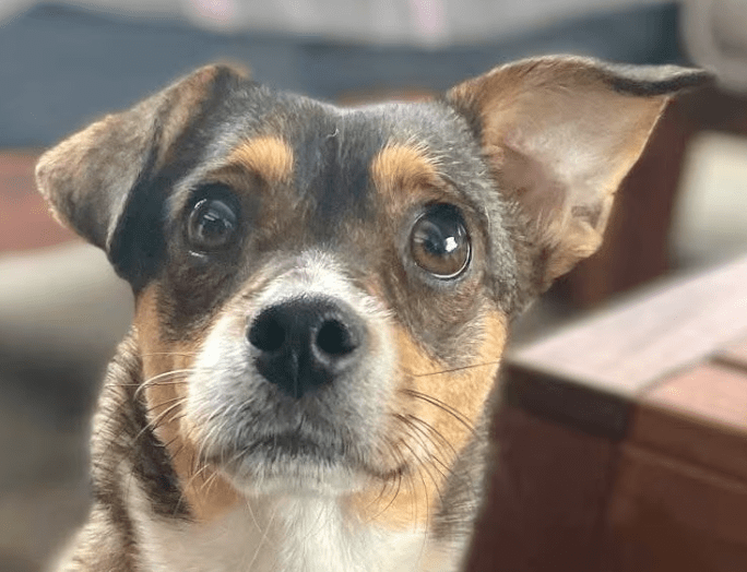 2025 10 09 14 47 20 chat teutrine, constanze microsoft teams