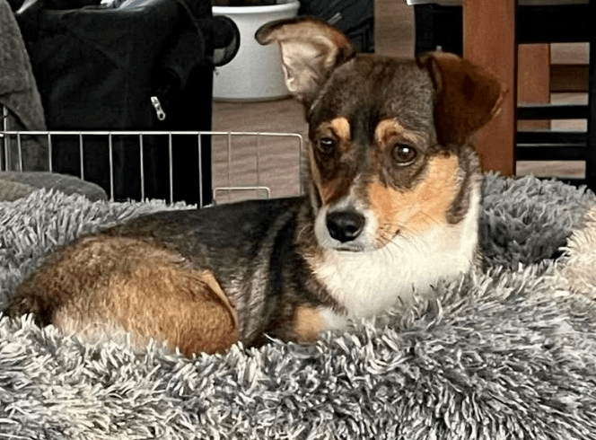 2025 10 09 14 47 27 chat teutrine, constanze microsoft teams