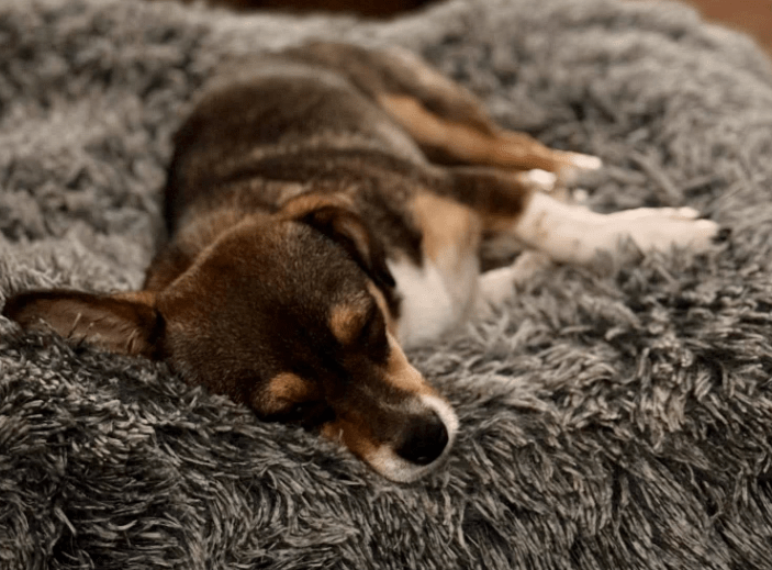 2025 10 09 14 47 37 chat teutrine, constanze microsoft teams