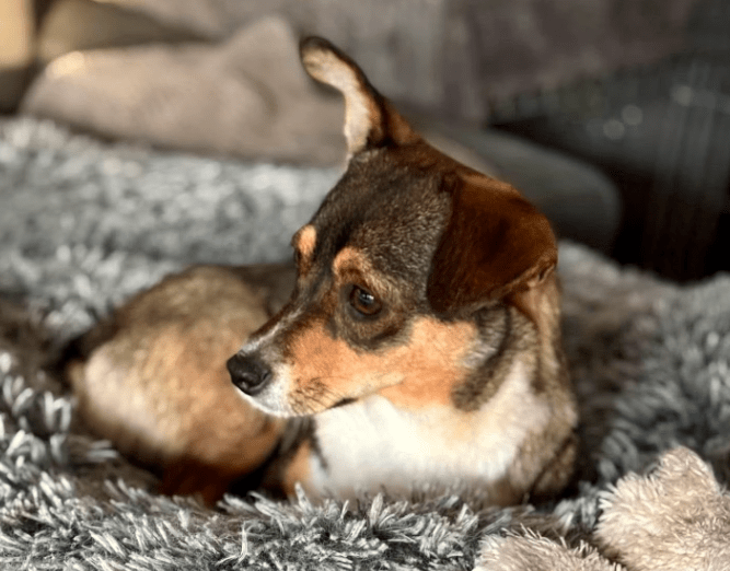 2025 10 09 14 47 47 chat teutrine, constanze microsoft teams