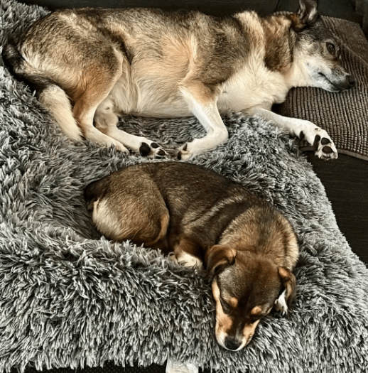 2025 10 09 14 47 53 chat teutrine, constanze microsoft teams