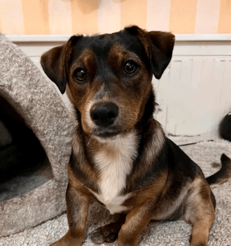 2025 10 15 08 41 56 posteingang sina.rieke kroeger@oetker.com outlook