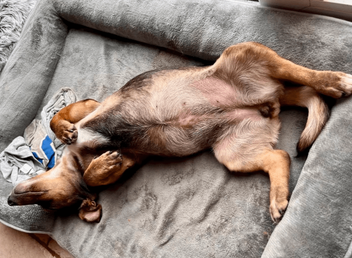 2025 10 15 08 42 02 posteingang sina.rieke kroeger@oetker.com outlook