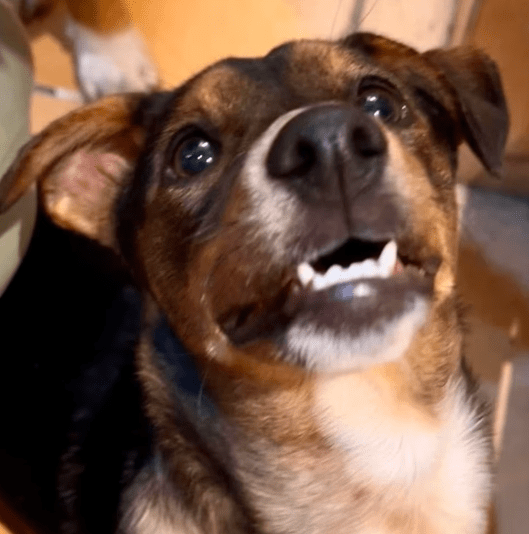 2025 10 15 08 42 10 posteingang sina.rieke kroeger@oetker.com outlook